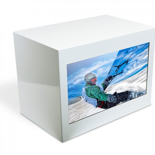 SHOW CASE translucent display